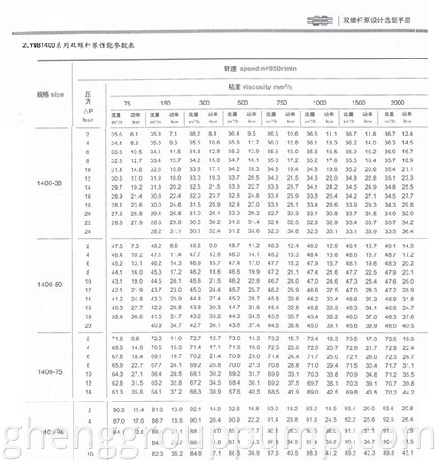 Double screw pump 1